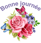 bonjours et bonsoirs du moisdejanvier - Page 3 1362194558